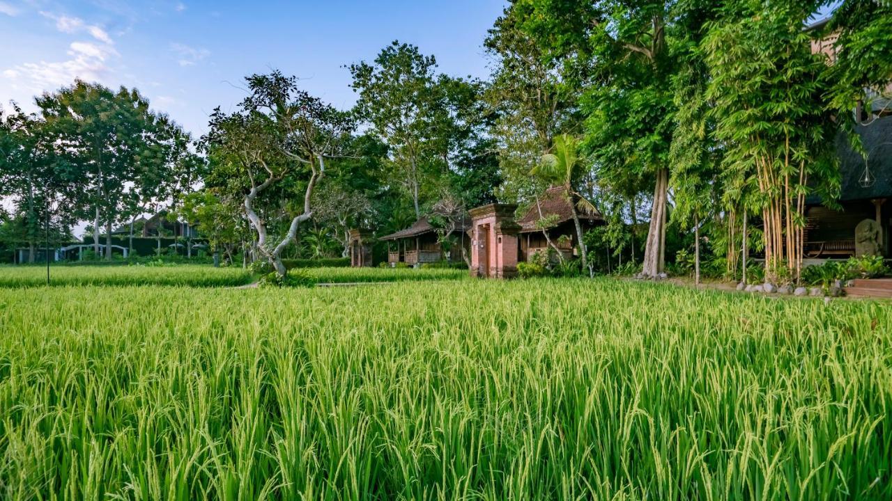 Kajane Yangloni At Ubud Buitenkant foto