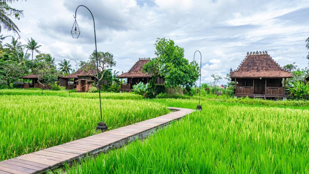 Kajane Yangloni At Ubud Buitenkant foto