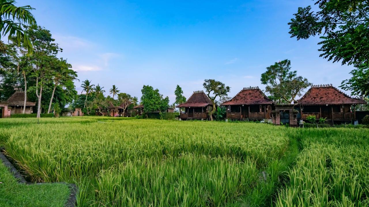 Kajane Yangloni At Ubud Buitenkant foto