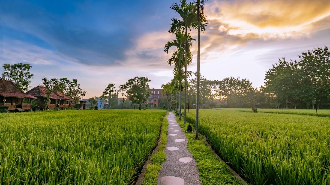 Kajane Yangloni At Ubud Buitenkant foto