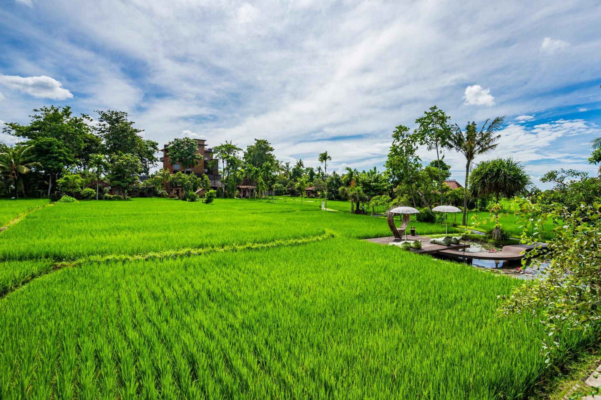 Kajane Yangloni At Ubud Buitenkant foto